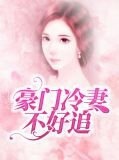 豪门冷妻不好追