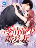 冷情帝少霸爱妻