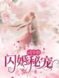 司少的闪婚秘宠