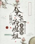 红楼之黛玉的姐姐不好惹