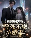 重成后大佬誓死不做小娇妻