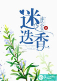 迷迭香怎么种植